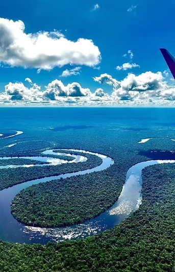 amazonas
