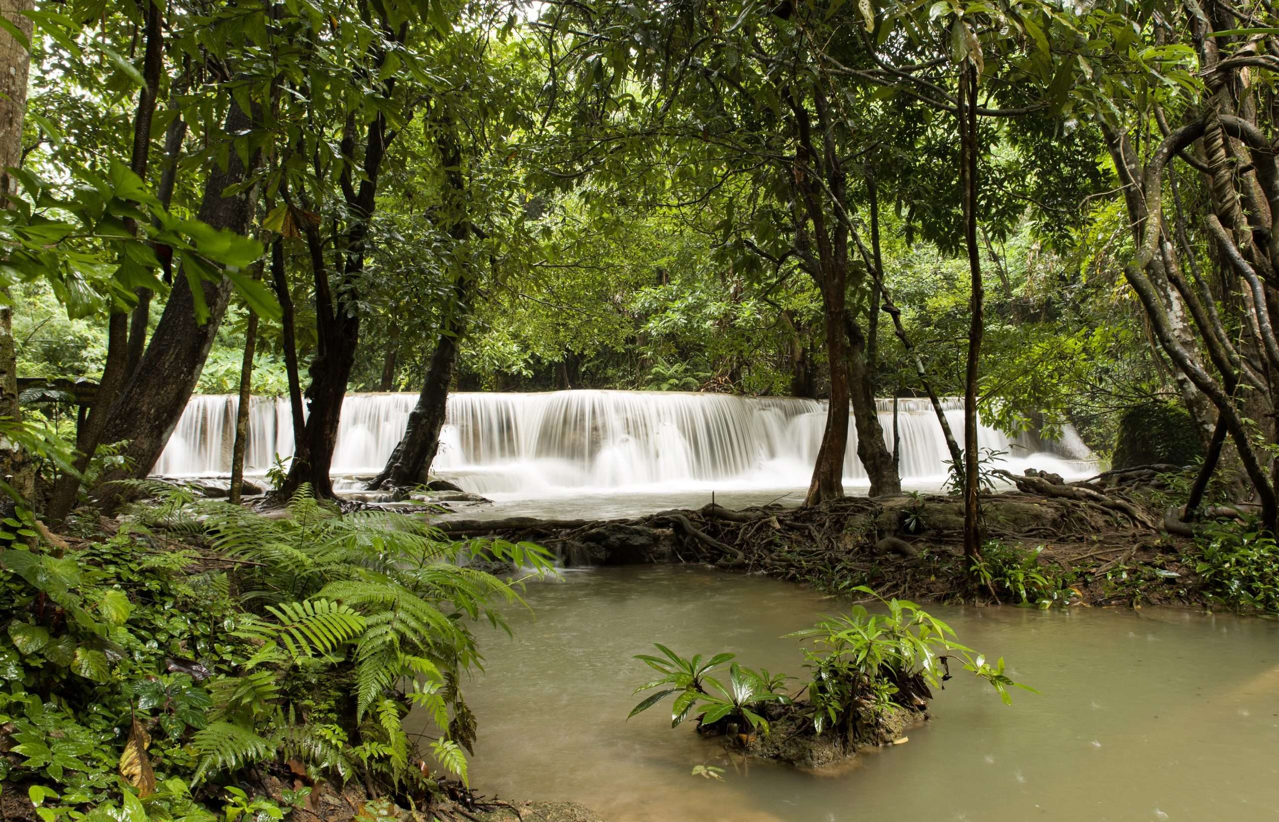 Selva amazónica en Leticia, Colombia